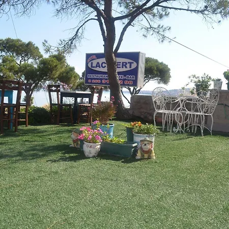 Lacivert 3* Ayvalı