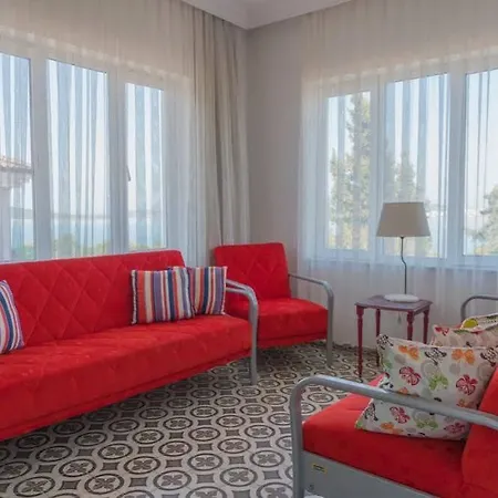 Lacivert 3* Ayvalı